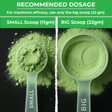 Ramp Rage Pre-Workout | 330 Gram | 30 Serving - A2G Lifestyle