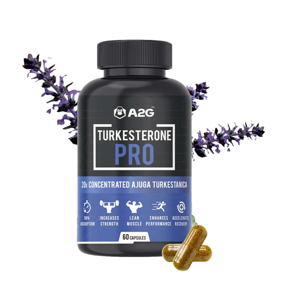 TURKESTERONE PRO | (60 Capsules, Pack of 1) - A2G Lifestyle