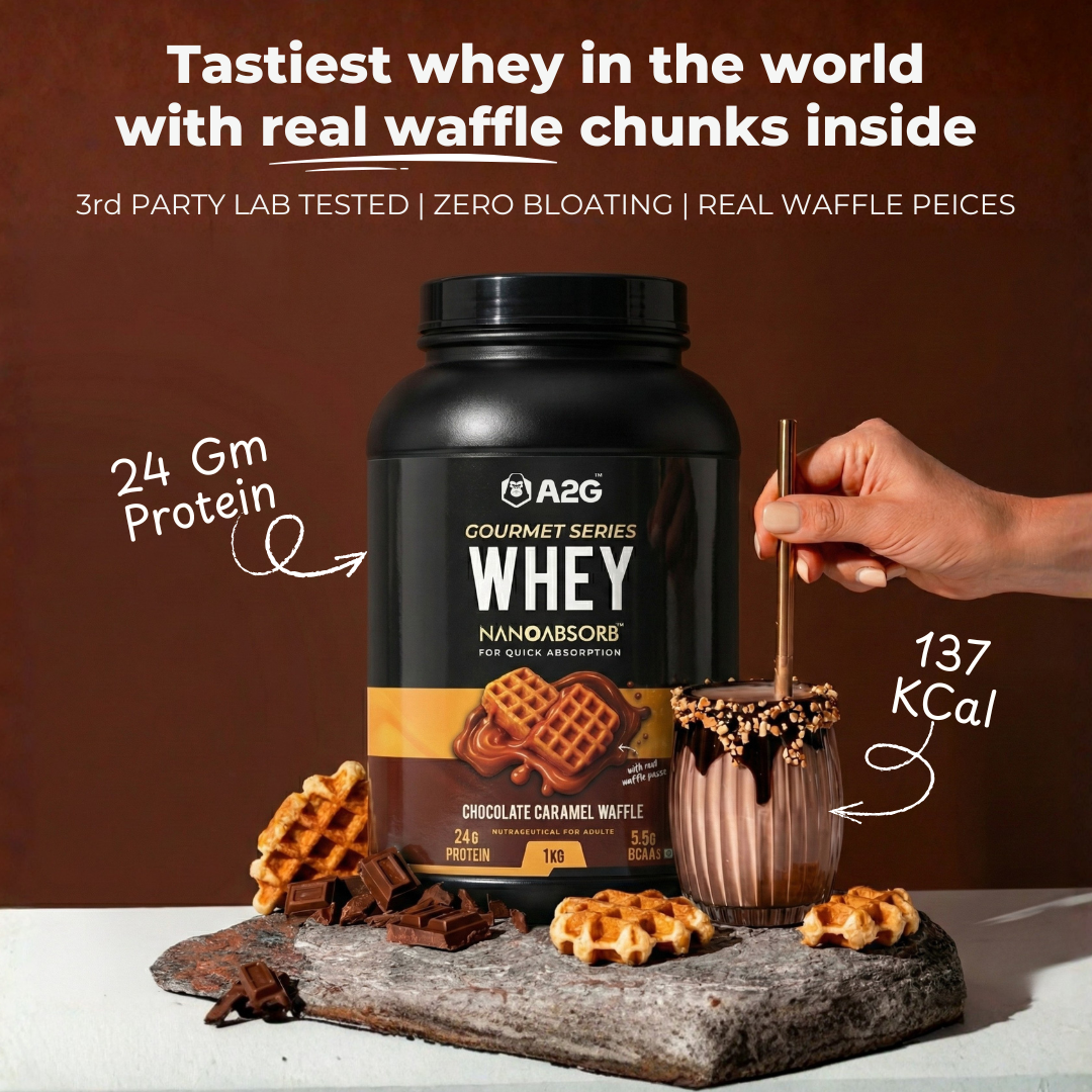 Gourmet Whey Protien | 1KG | 28 servings