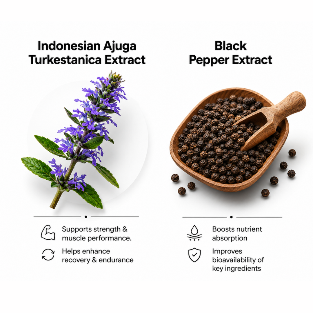 TURKESTERONE PRO | 60 Capsules