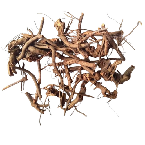 African Fadogia Agrestis