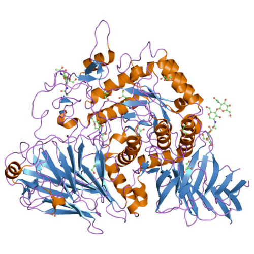 Digestive Enzymes Blend