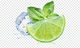 Mint Mojito